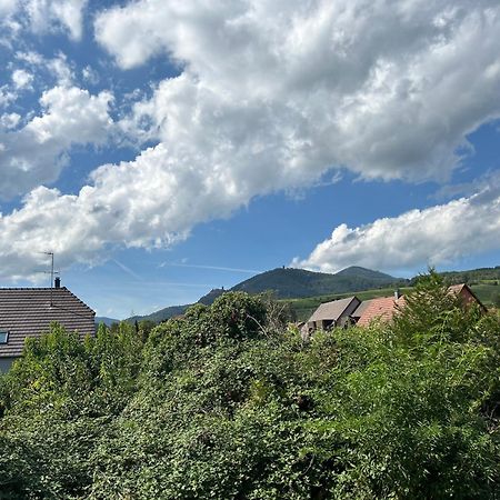 Gite Neuf En Duplex Tout Confort Ribeauvillé Exteriör bild